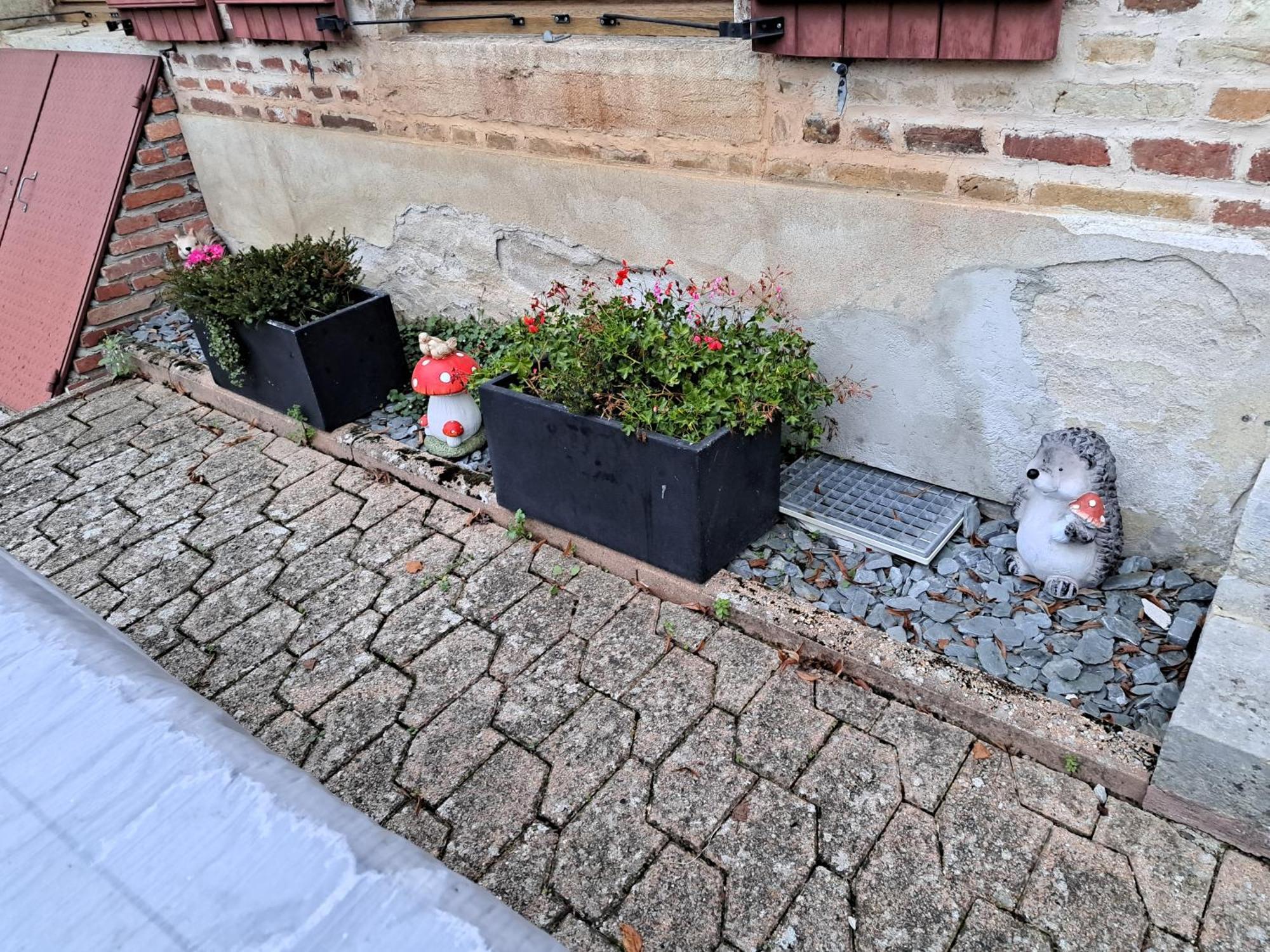 Gite Le Piege A Reves Pierre-de-Bresse Zewnętrze zdjęcie